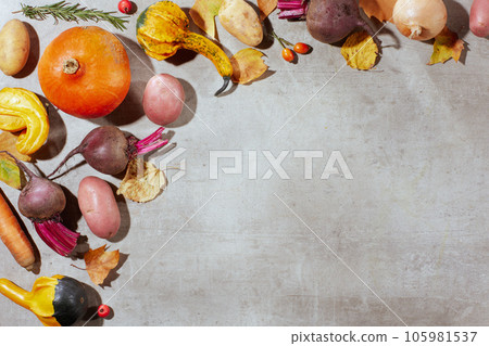 autumn flat lay on concrete background with pumpkins autumn flat lay on concrete background with pumpkins 105981537