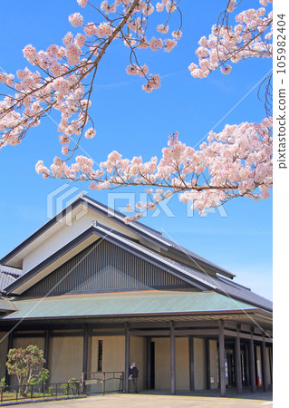 名古屋市的風景、名古屋野樂堂和盛開的櫻花 名古屋市的風景、名古屋野樂堂和盛開的櫻花 105982404