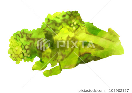植物油 105982557