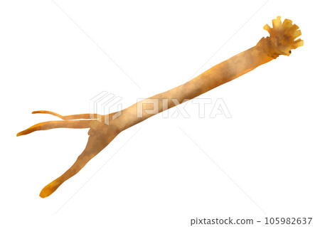 堀川博士 105982637