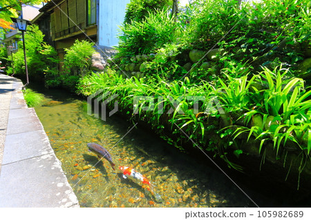 [Gifu Prefecture] Gujo Hachiman's Iwakomichi 105982689