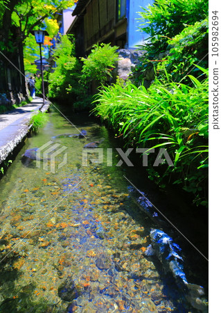 [Gifu Prefecture] Gujo Hachiman's Iwakomichi 105982694