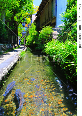 [岐阜縣]郡上八man的岩口道 105982695