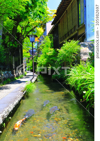 [Gifu Prefecture] Gujo Hachiman's Iwakomichi 105982697