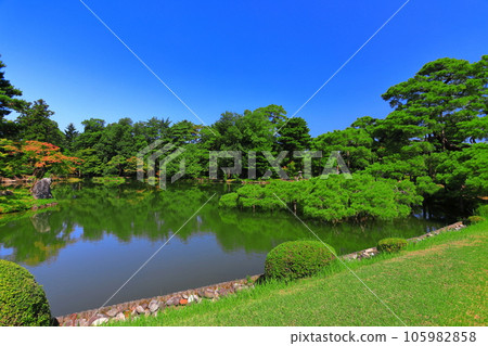 [石川縣] 晴天的兼六園 雪吊唐崎松 105982858