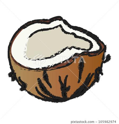 coconut, fruit, hand drawn 105982974