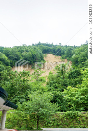 Mudslide 105983226