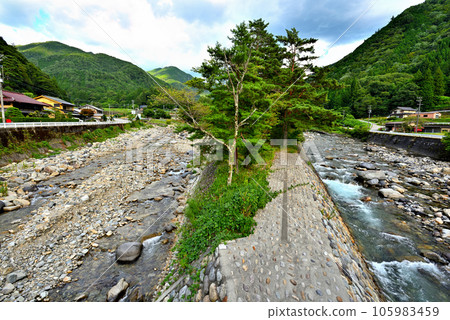 <<Gifu Prefecture>> Kosaka-cho, Gero City The Muddy River and Oguro River of Iwaoritsukyo Gorge shine in the fresh greenery 105983459