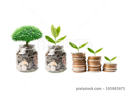 Tree leaf on save money coins, Business finance saving banking investment concept. 105983973