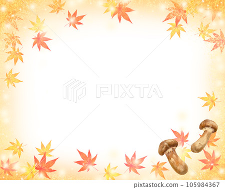 Autumn fashionable white back frame such as maple, maple and matsutake 105984367