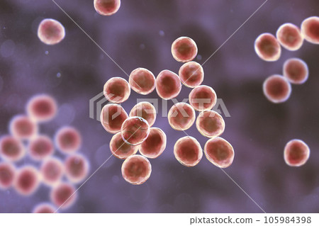 7,848 Staphylococcus Images, Stock Photos, 3D objects, & Vectors