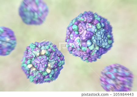 Echo viruses, 3D illustration Echo viruses, 3D illustration 105984443