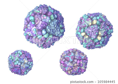 Echo viruses, 3D illustration 105984445