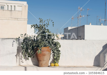 Mediterranean still life. Vintage vase with fresh eucalyptus leaves, branches bouquet. Old texrured white wall background. Blurred Spanish town houses with antenna in sunlight, blue sky. Copy space. 105984615