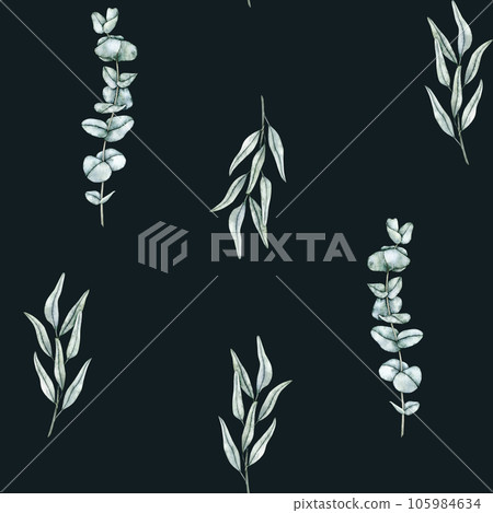 Seamless pattern with eucalyptus and olive branches. Greenery foliage on dark background. Endless Hand drawn watercolor illustration for wallpaper, fabric, wrapping paper 105984634