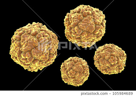 Echo viruses, 3D illustration 105984689