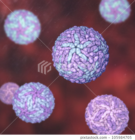 Dengue viruses, 3D illustration Dengue viruses, 3D illustration 105984705