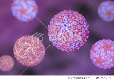 Dengue viruses, 3D illustration 105984706
