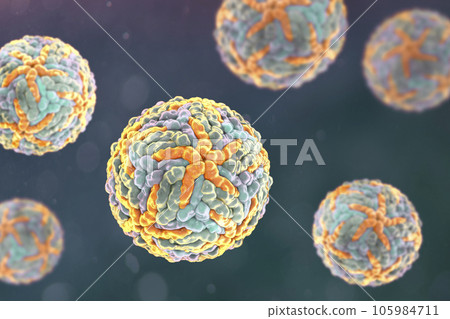 Dengue viruses, 3D illustration 105984711