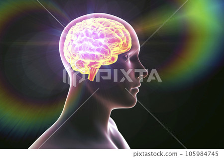 The energy field generated by the human brain, 3D illustration The energy field generated by the human brain, 3D illustration 105984745