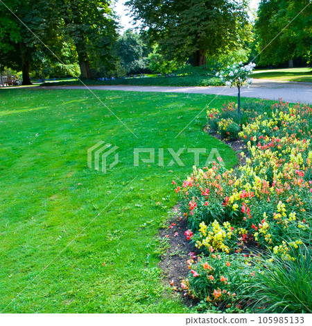 Beautiful garden with a flower garden and a lawn. 105985133