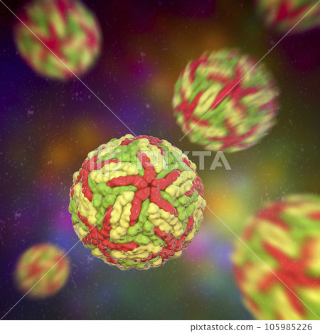 Dengue viruses, 3D illustration 105985226