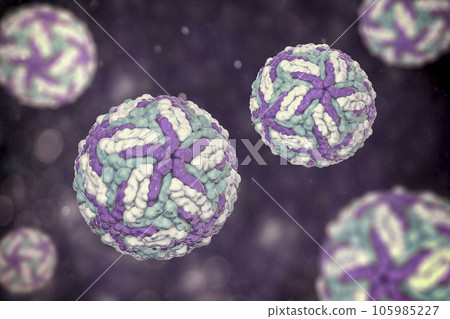 Dengue viruses, 3D illustration Dengue viruses, 3D illustration 105985227