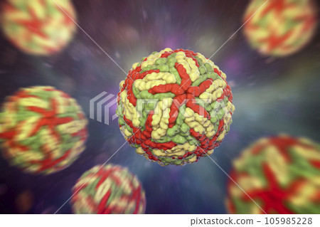 Dengue viruses, 3D illustration 105985228