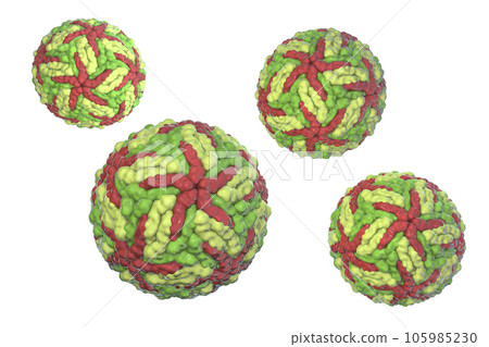 Dengue viruses, 3D illustration Dengue viruses, 3D illustration 105985230