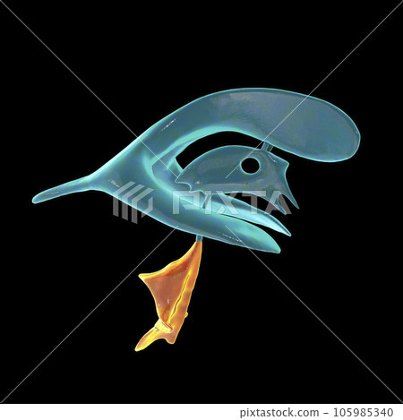 One Fourth Brain Drawing The fourth brain ventricle, illustration - Stock Illustration ...