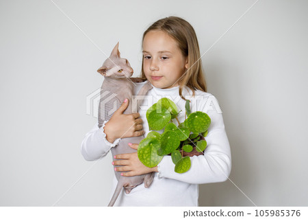 Beautiful Girl with domestic hairless cat and plant 105985376