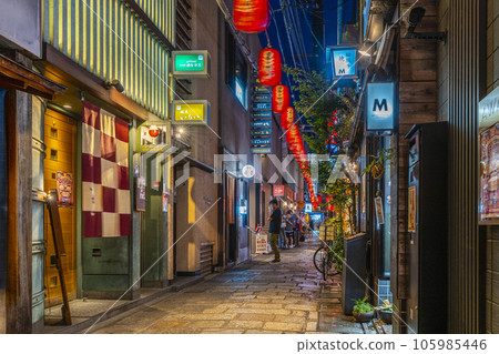 Hozenji Yokocho at night in Osaka, an atmospheric alley with cobbled streets 105985446