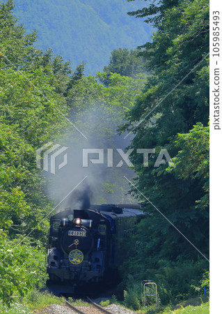 JR Kamaishi Line C58239 steam locomotive blue plate with SL Ginga appearing from the forest curve JR Kamaishi Line C58239 steam locomotive blue plate with SL Ginga appearing from the forest curve 105985493