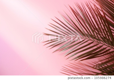 Pink background with tropical palm leaves and soft shadow. Generative AI 105986274