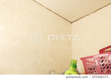 Mold growing on the wall of the dressing room Mold growing on the wall of the dressing room 105986375