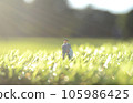 businessman in the light businessman in the light 105986425