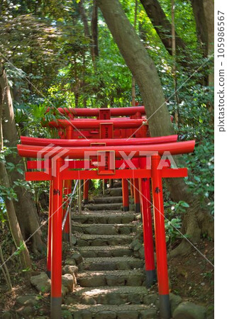 紅色鳥居整齊排列 105986567