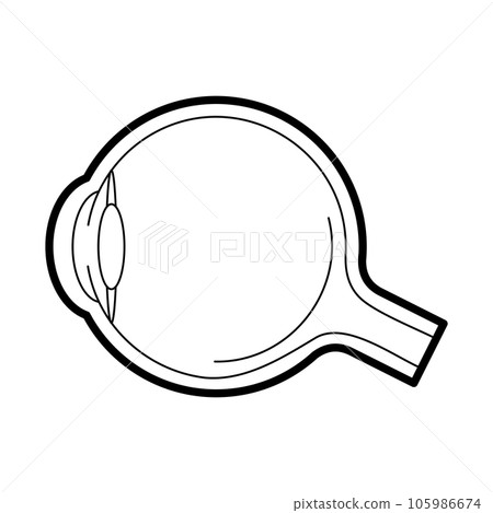 Eyeball anatomy icon, vector illustration 105986674