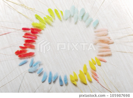 Colorful plant circle Dried flower Image material Background material Lucky Lagrass 105987698