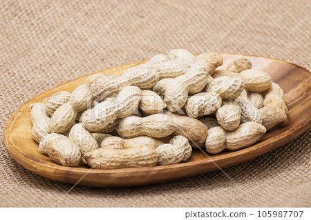 收穫的花生保健食品花生 105987707