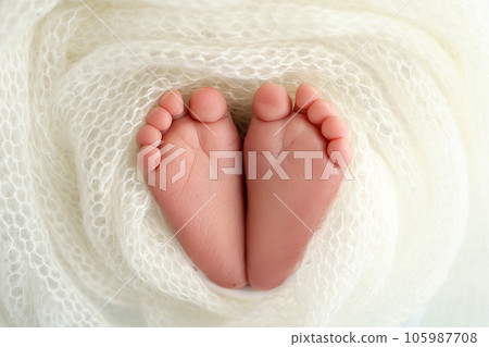 The tiny foot of a newborn baby. Soft feet of a new born in a white wool blanket. Close up of toes, heels and feet of a newborn. Knitted white heart in the legs of a baby. Macro photography. 105987708