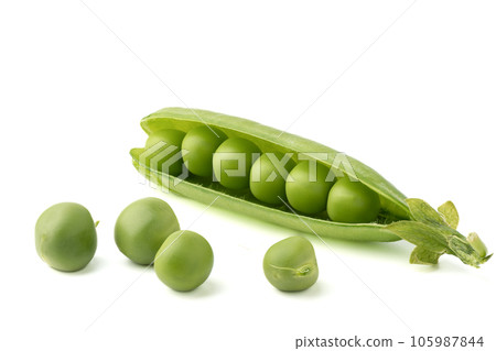 Peas in a pea pod and on a white background. Peas in a pea pod and on a white background. 105987844
