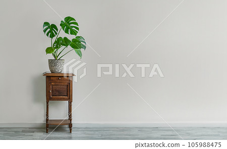 Monstera deliciosa or Swiss Cheese Plant in a gray flower pot on an old wooden table, home gardening and connecting with nature 105988475