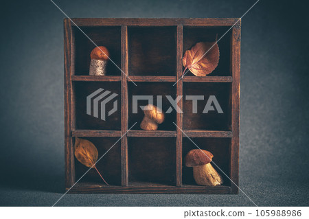 The concept of superfood. Composition with porcini mushrooms and boletus 105988986