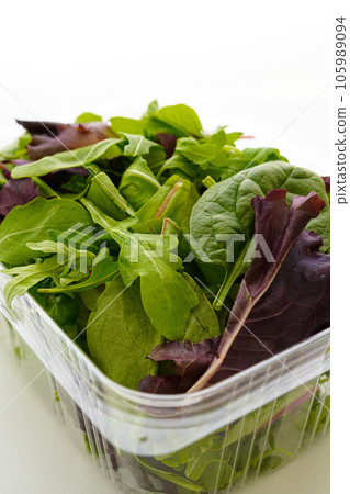 Green salad in recyclable container on white background 105989094