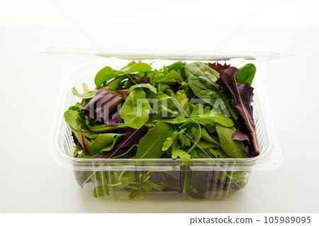 Green salad in recyclable container on white background 105989095