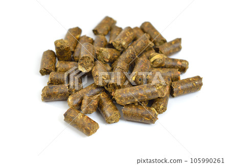 Pressed Senna leaves and fruits. Sennae folia cum fructus. Isolated on white background Pressed Senna leaves and fruits. Sennae folia cum fructus. Isolated on white background 105990261