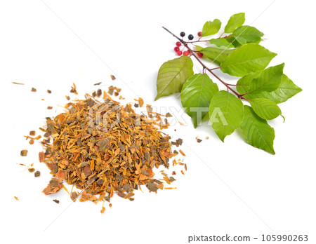 Frangula or alder buckthorn bark isolated on white background 105990263