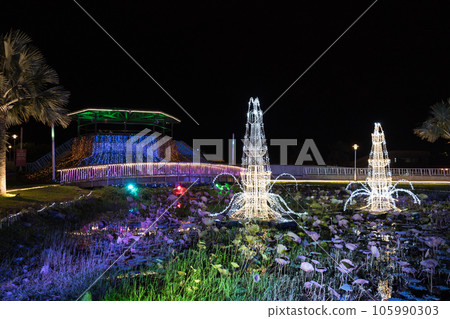 台灣花蓮太平洋花卉節燈光秀 105990303