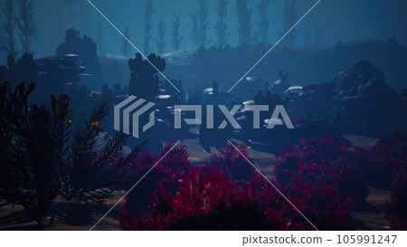 Beautifiul underwater panoramic view with tropical coral reefs 105991247